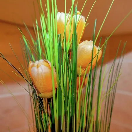 Apartamento In Croatia Near & Town Centre