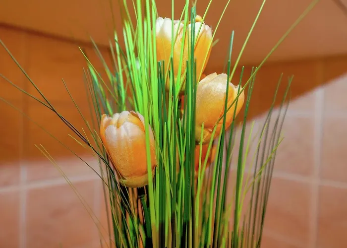 아파트 In Croatia Near & Town Centre